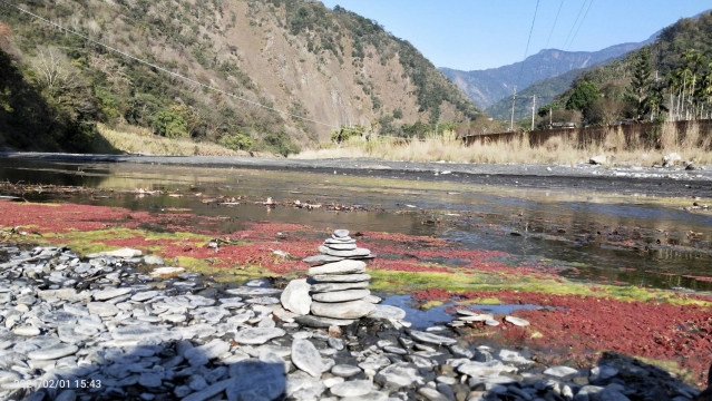 季節限定滿江紅