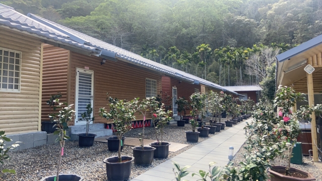 茶花香民宿歡迎您