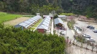 武界茶花香民宿活動紀錄-20210226