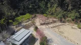 武界茶花香民宿活動紀錄-20210226